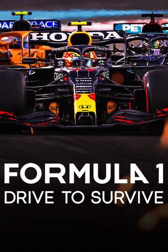 Formula 1: Drive to Survive (2023) Hindi Season 5 Complete Netflix