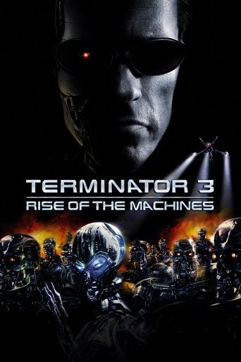 Terminator 3: Rise of the Machines (2003) Hindi Dubbed